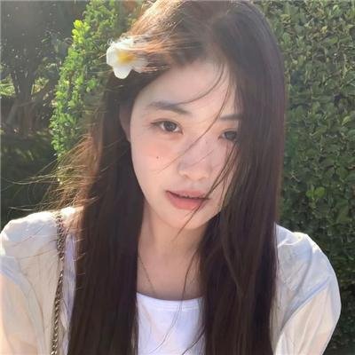 五香宫的猫 海报